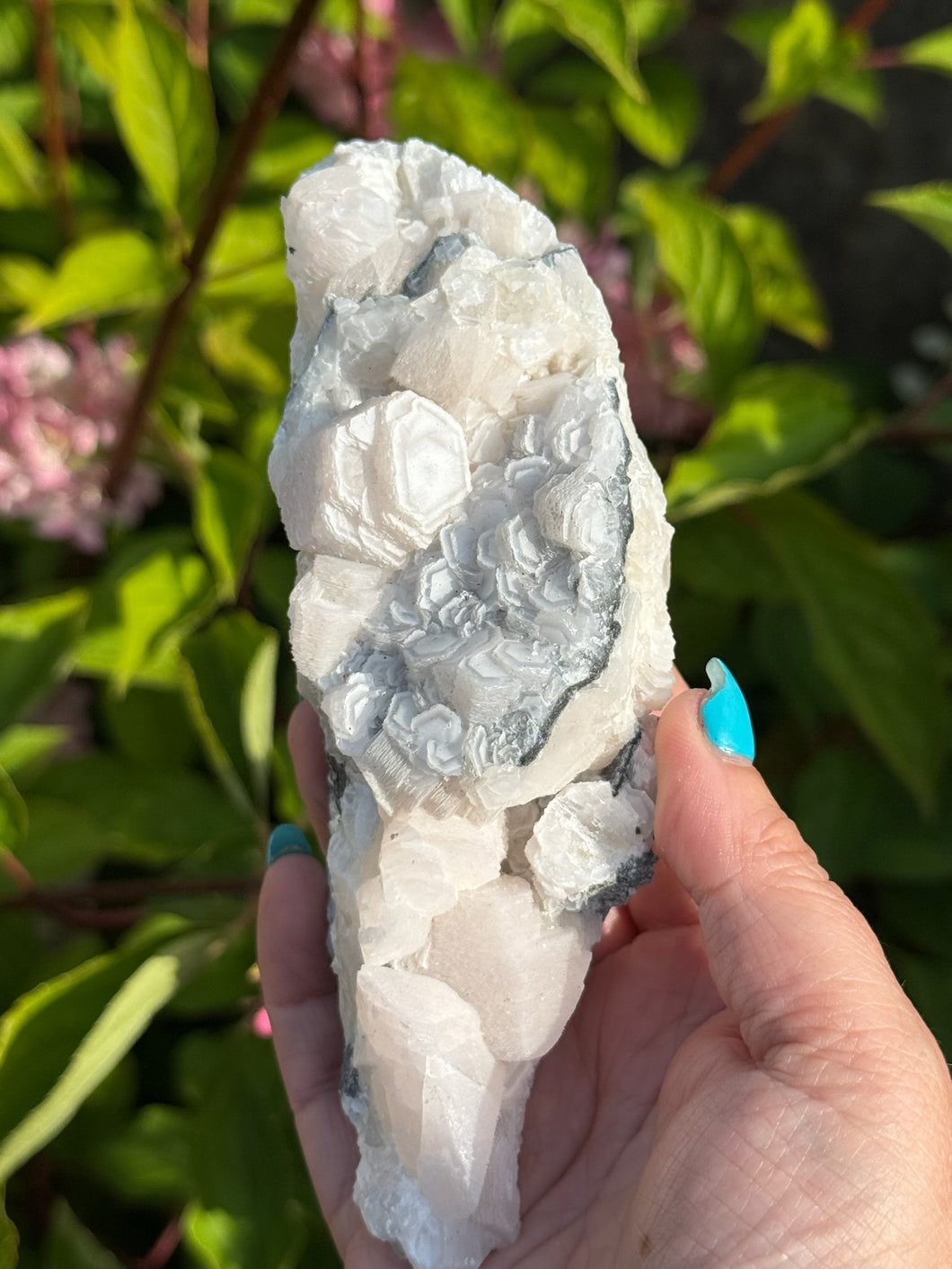 UV Reactive Poker Chip Calcite Specimen