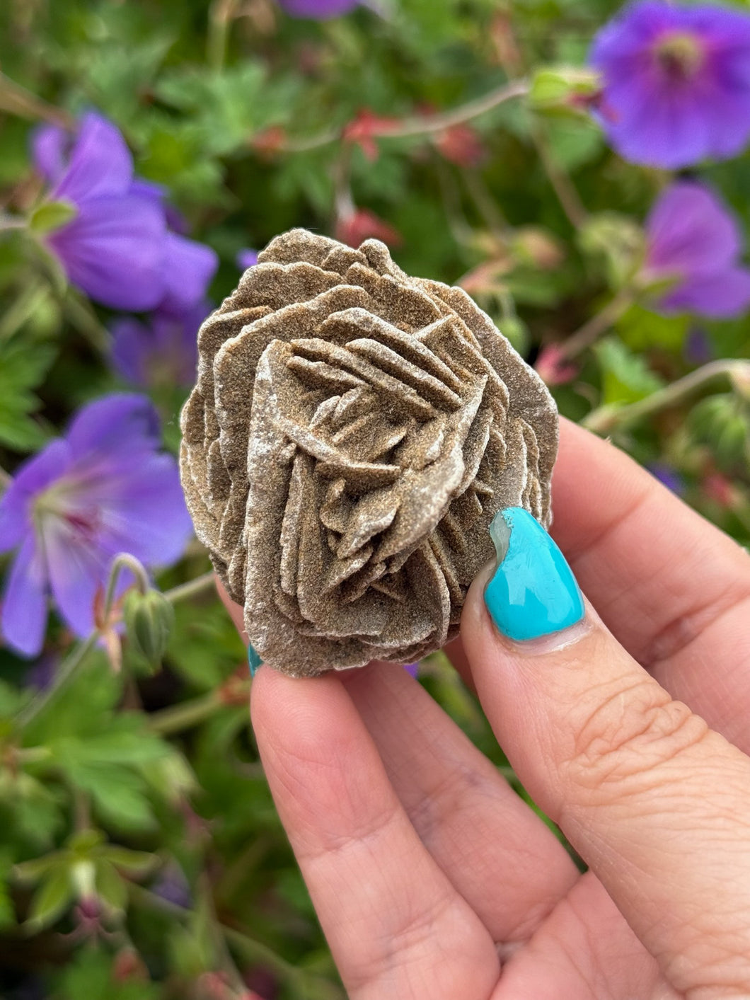 Large Desert Rose Selenite Specimen