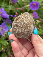 Load image into Gallery viewer, Large Desert Rose Selenite Specimen
