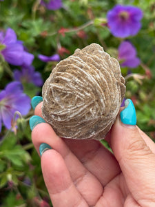 Large Desert Rose Selenite Specimen