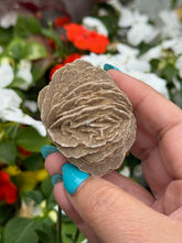 Load image into Gallery viewer, Natural Desert Rose Gypsum Specimen
