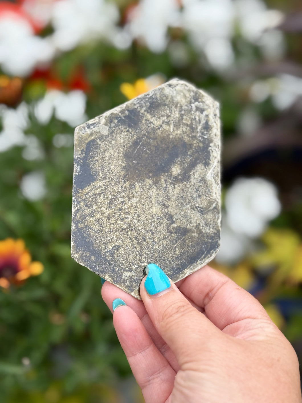 Brown Mica Leaf Specimen