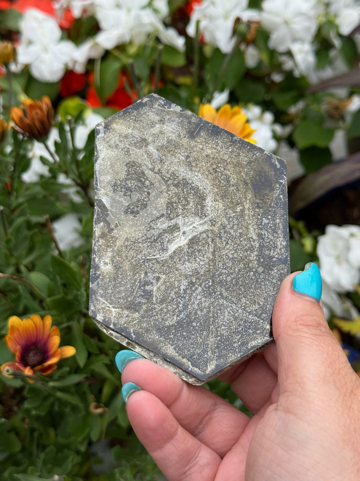 Brown Mica Leaf Specimen