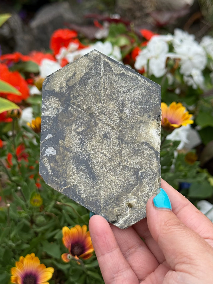 Brown Mica Leaf Specimen