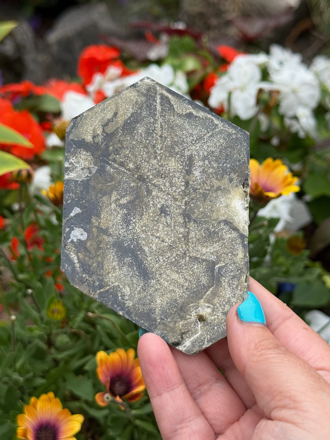 Brown Mica Leaf Specimen