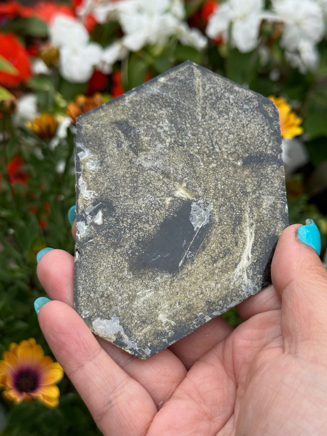 Brown Mica Leaf Specimen