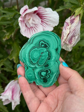 Load image into Gallery viewer, Polished Malachite Stalactite Slice Specimen
