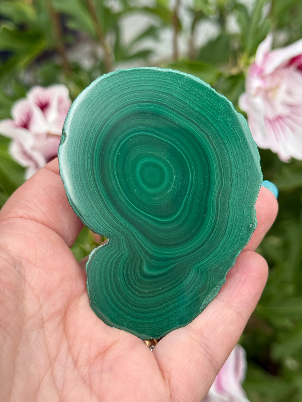 Polished Malachite Stalactite Specimen