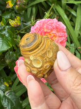 Load image into Gallery viewer, Incredible Natural Gobi Desert Agate Specimen
