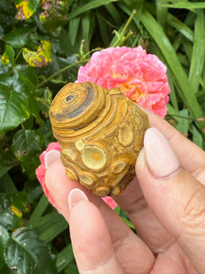 Incredible Natural Gobi Desert Agate Specimen