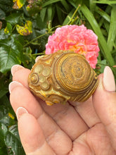 Load image into Gallery viewer, Incredible Natural Gobi Desert Agate Specimen
