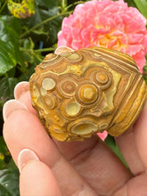 Load image into Gallery viewer, Incredible Natural Gobi Desert Agate Specimen
