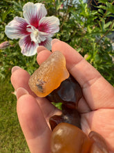 Load image into Gallery viewer, 5 Pieces of Gobi Desert Agate Nodules Specimen
