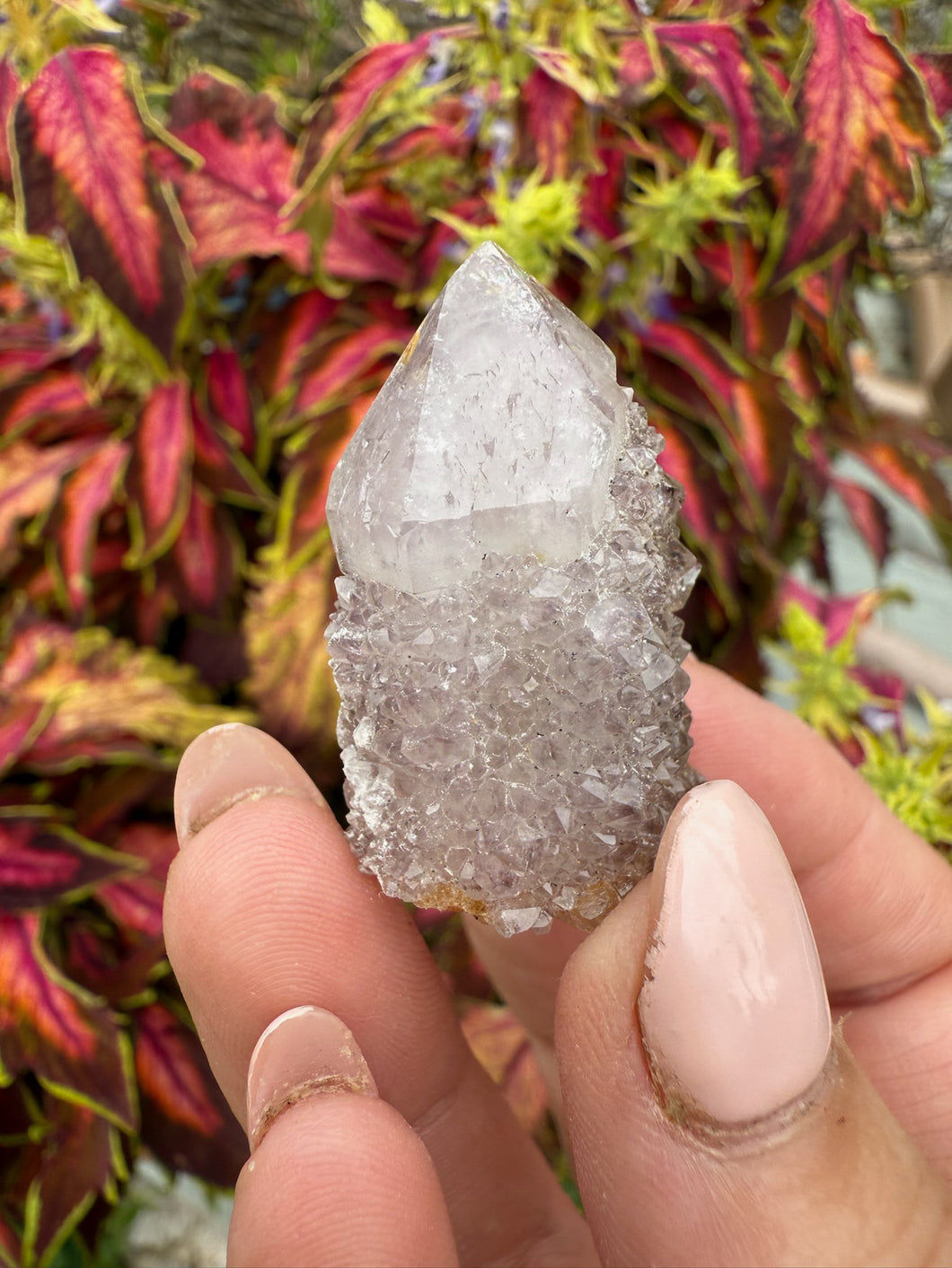 Amethyst Spirit Quartz Specimen