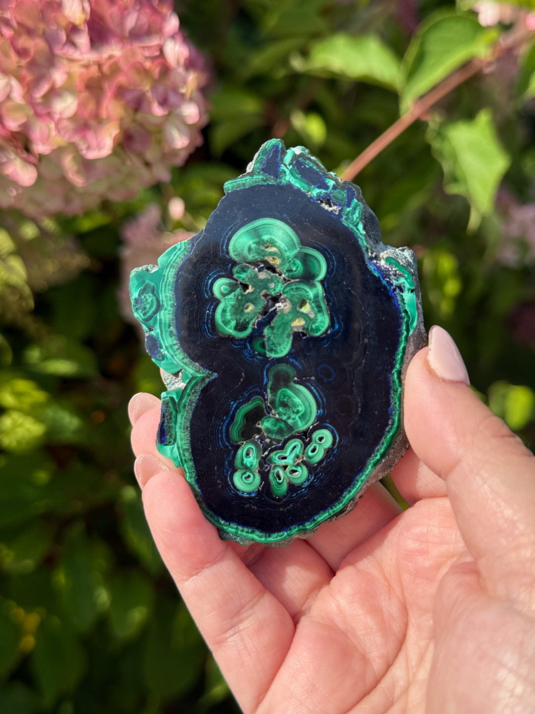 Rare Polished Azurite and Malachite Specimen