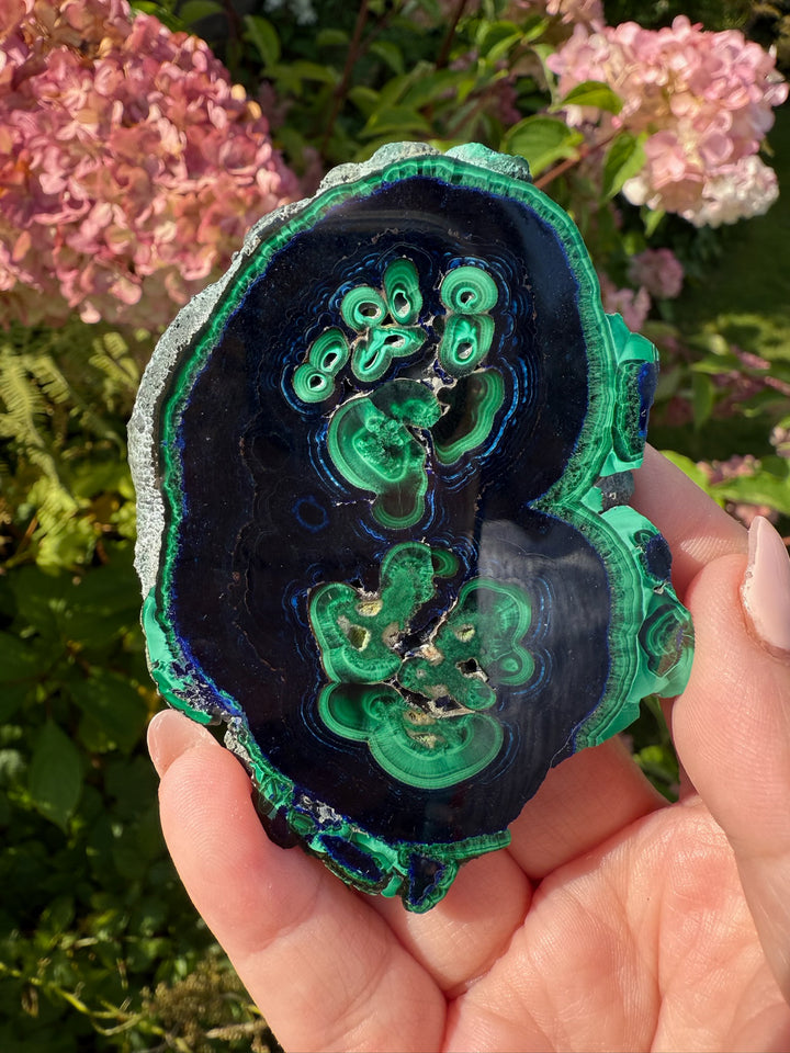 Rare Polished Azurite and Malachite Specimen