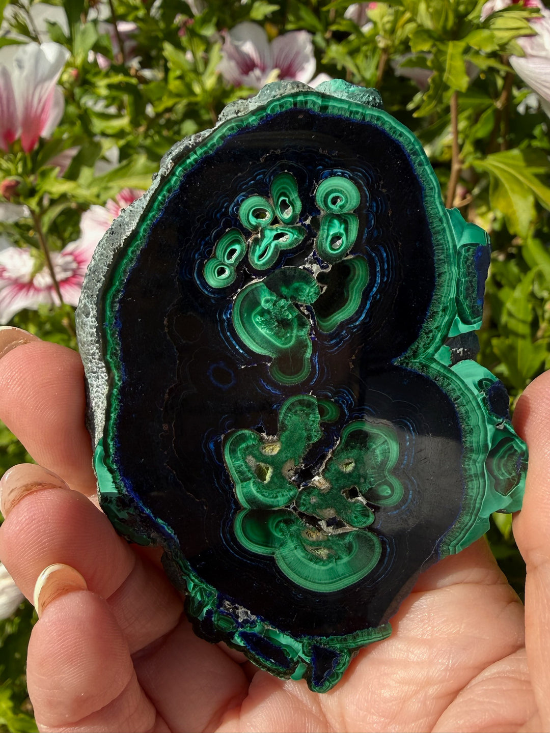 Rare Polished Azurite and Malachite Specimen