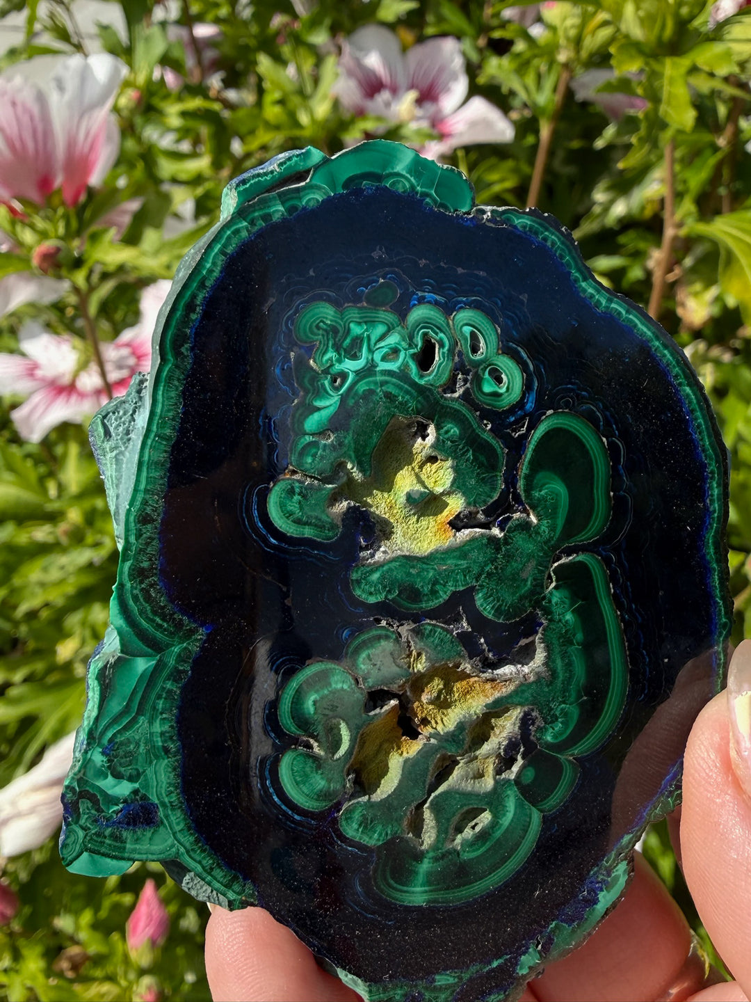 Rare Polished Azurite and Malachite Specimen