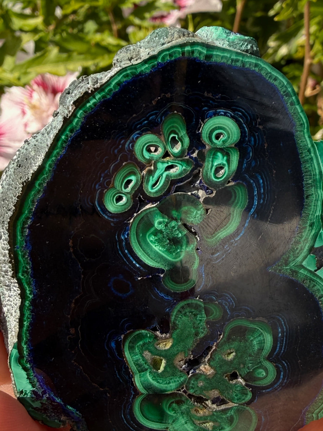 Rare Polished Azurite and Malachite Specimen