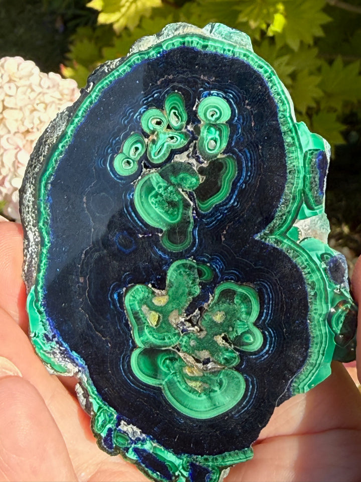Rare Polished Azurite and Malachite Specimen