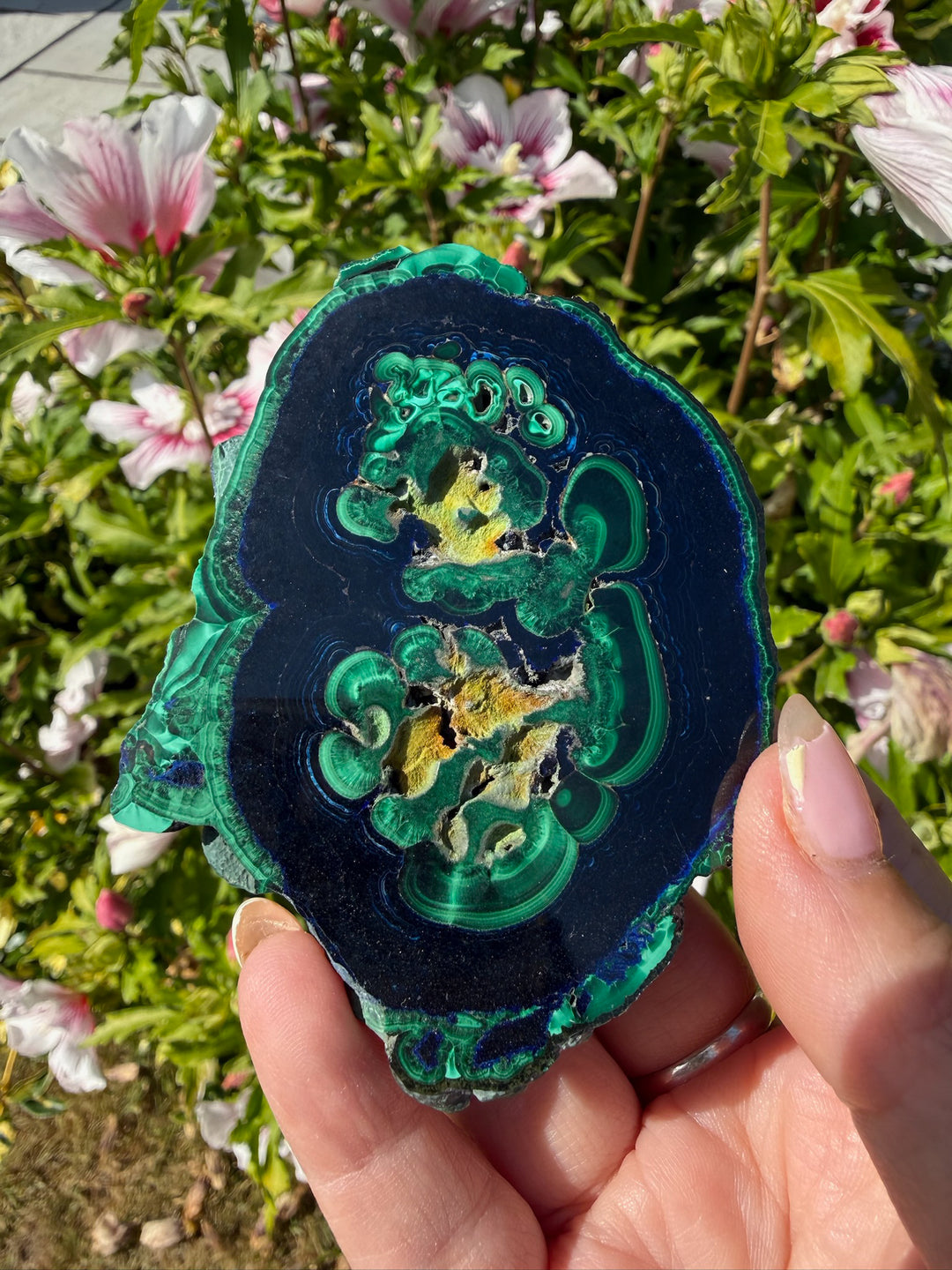 Rare Polished Azurite and Malachite Specimen