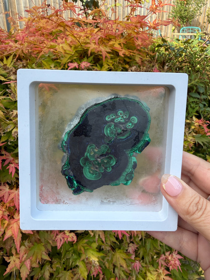 Rare Polished Azurite and Malachite Specimen