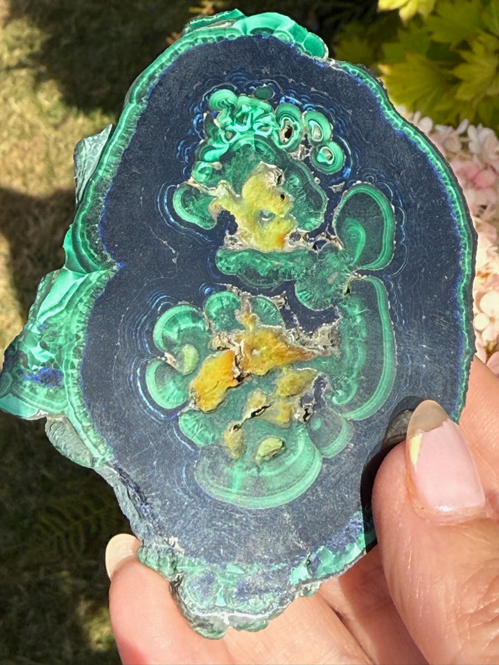 Rare Polished Azurite and Malachite Specimen