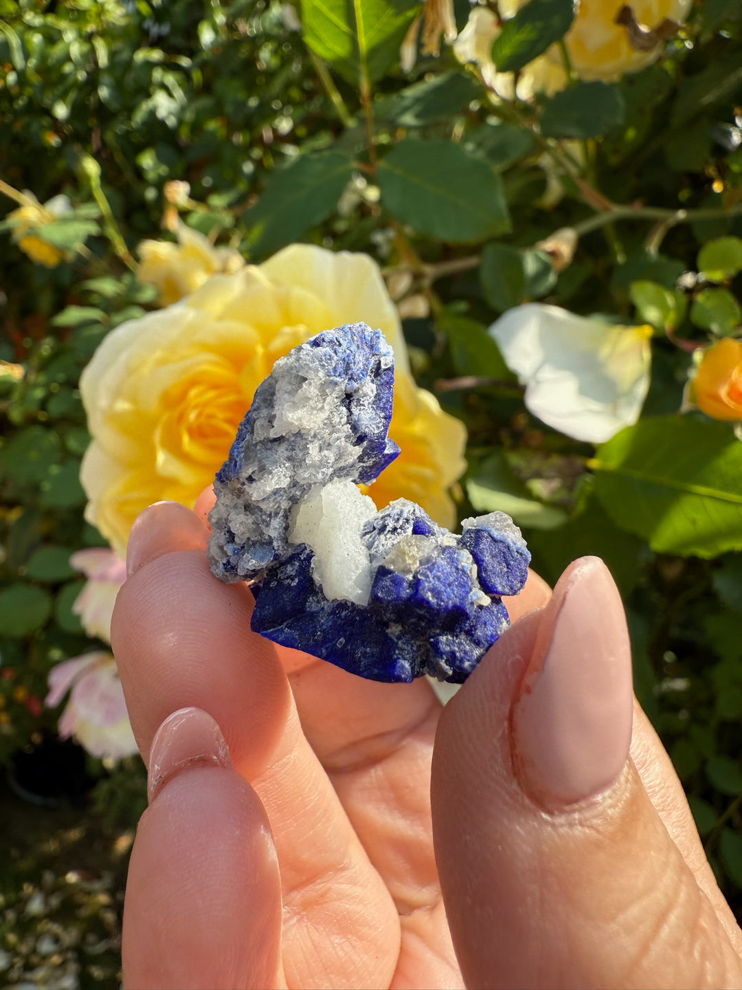 Cobalt Blue Lazurite Specimen