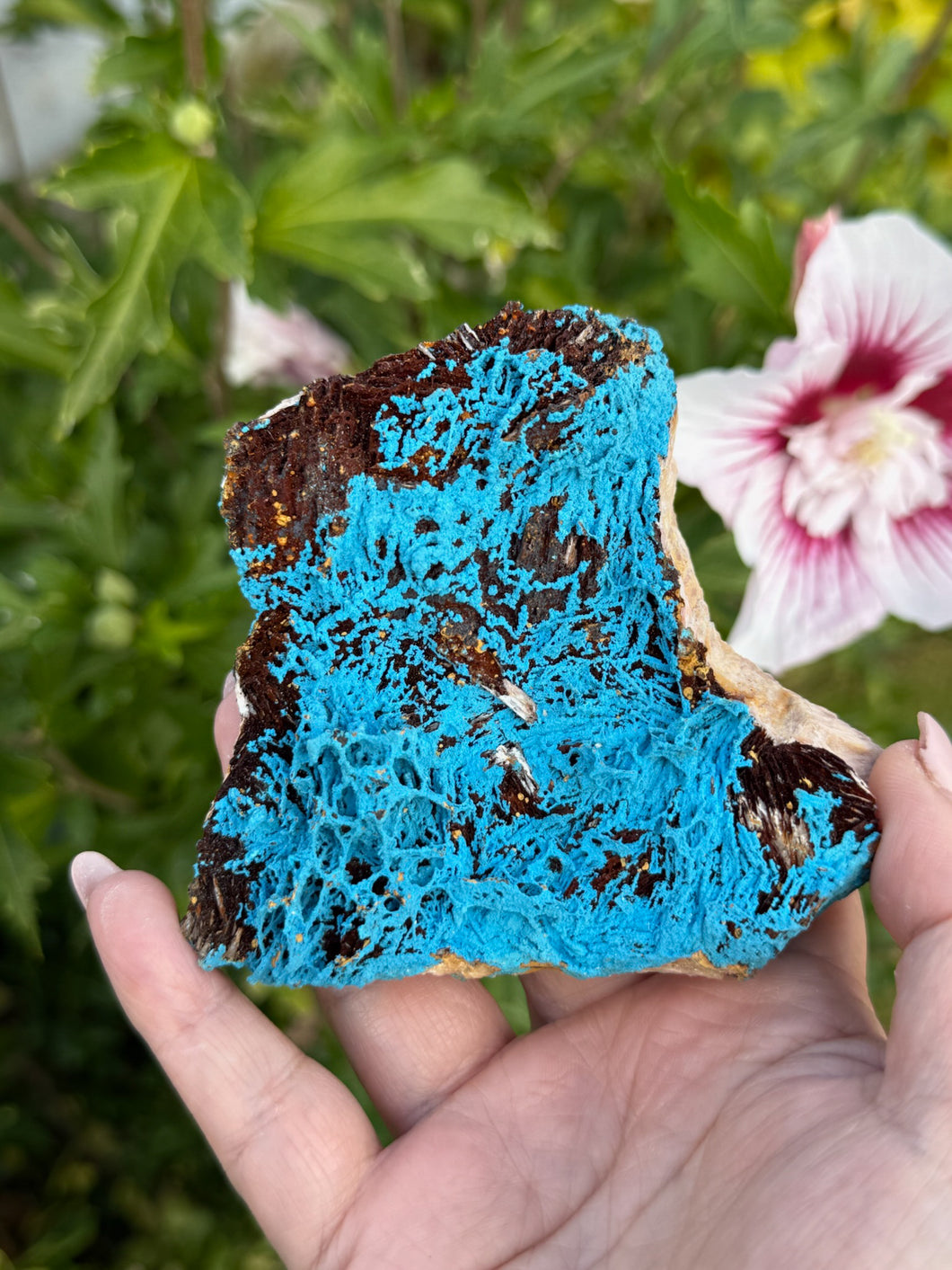 Vibrant Shattuckite Specimen