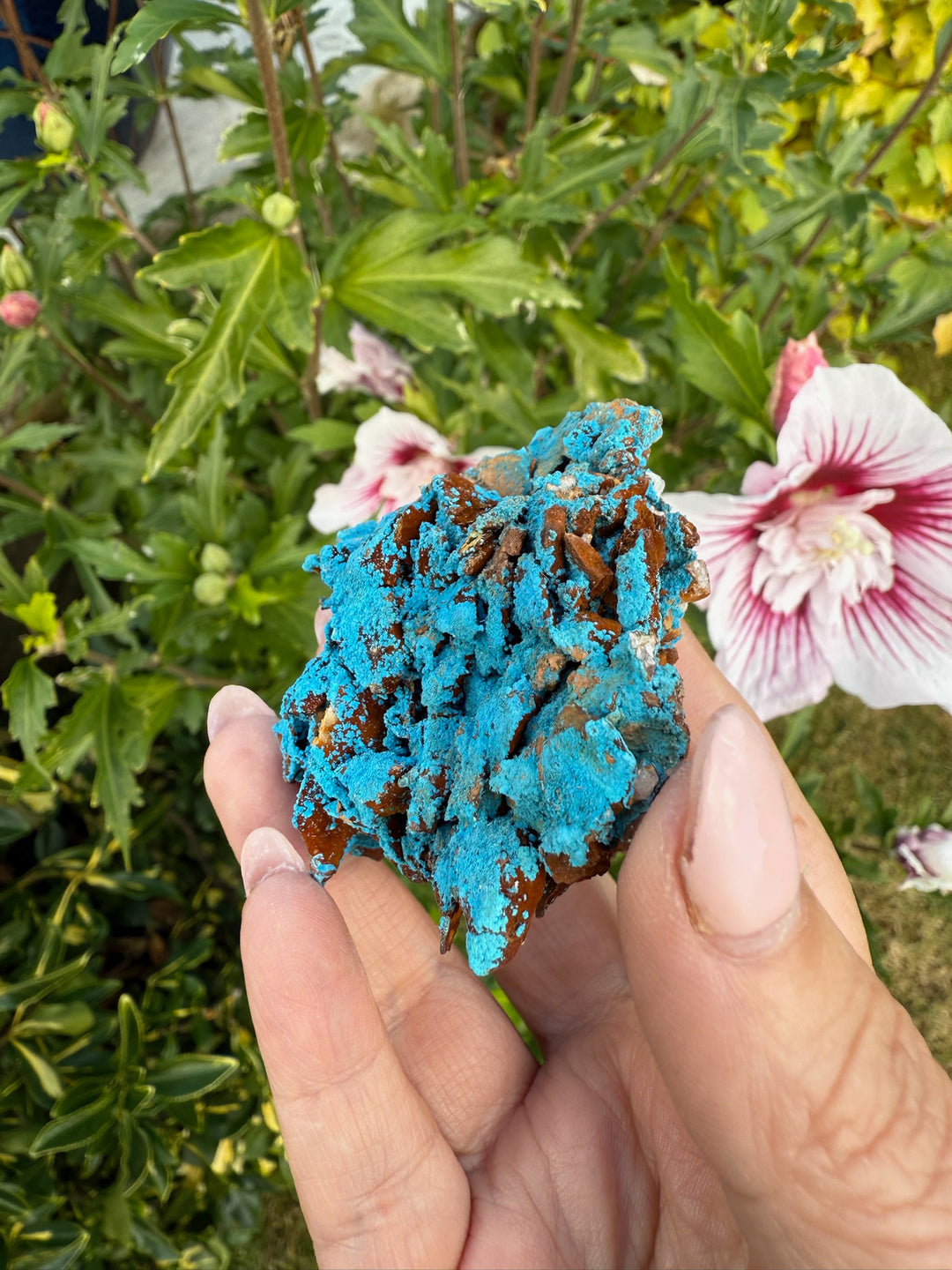Vibrant Shattuckite Specimen