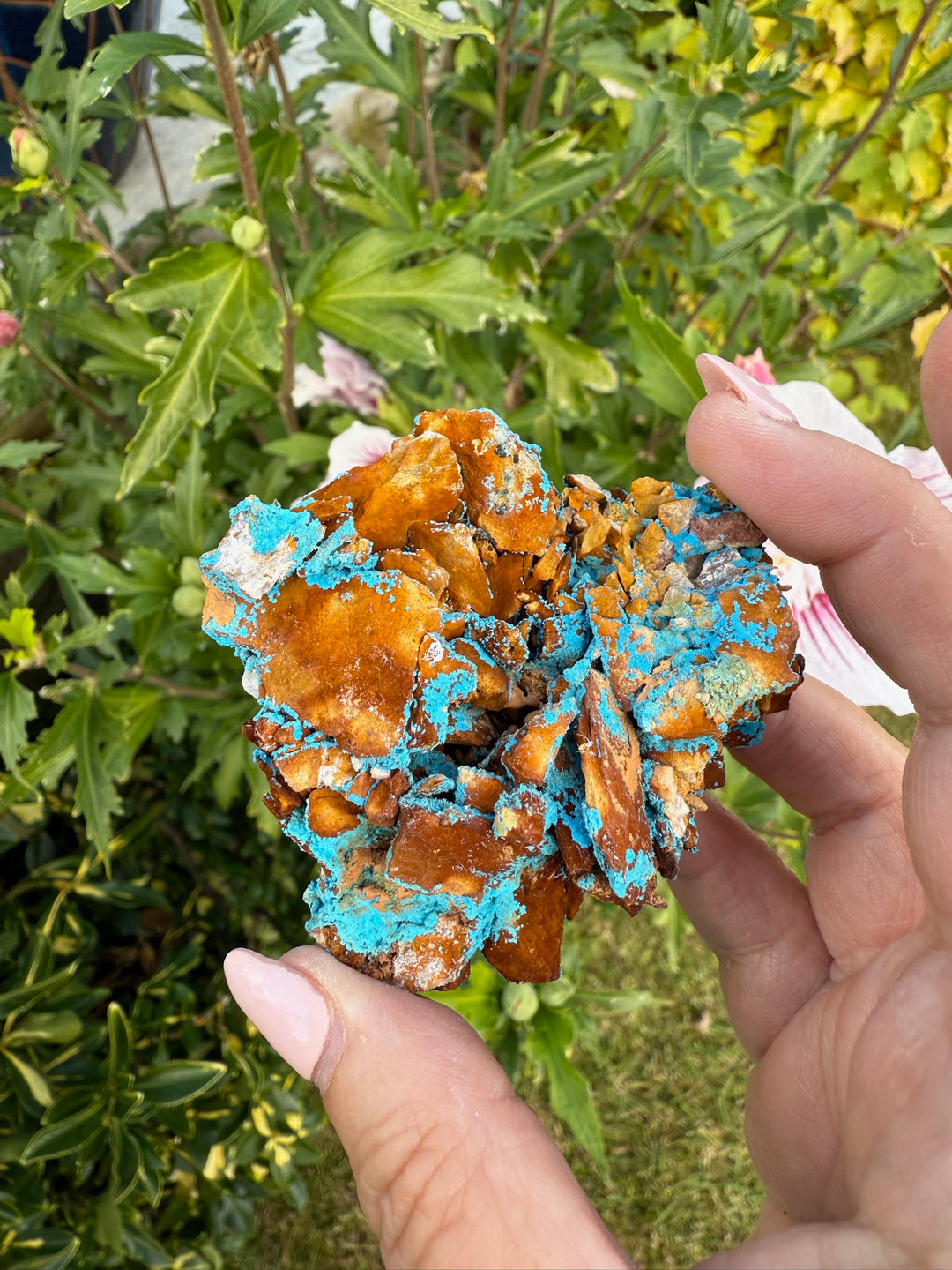 Vibrant Shattuckite Specimen