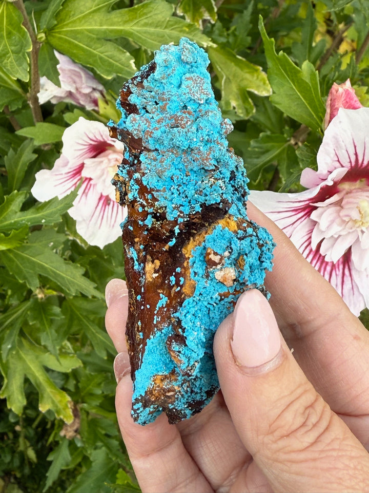 Vibrant Shattuckite Specimen