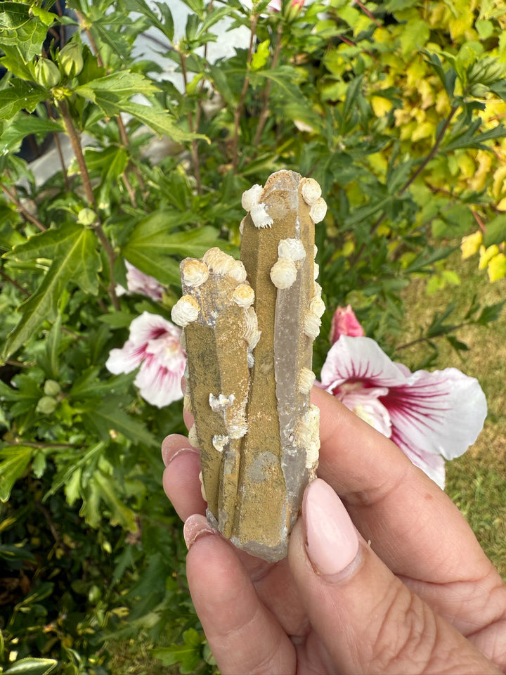 Quartz with Calcite Rosettes Specimen from Inner Mongolia