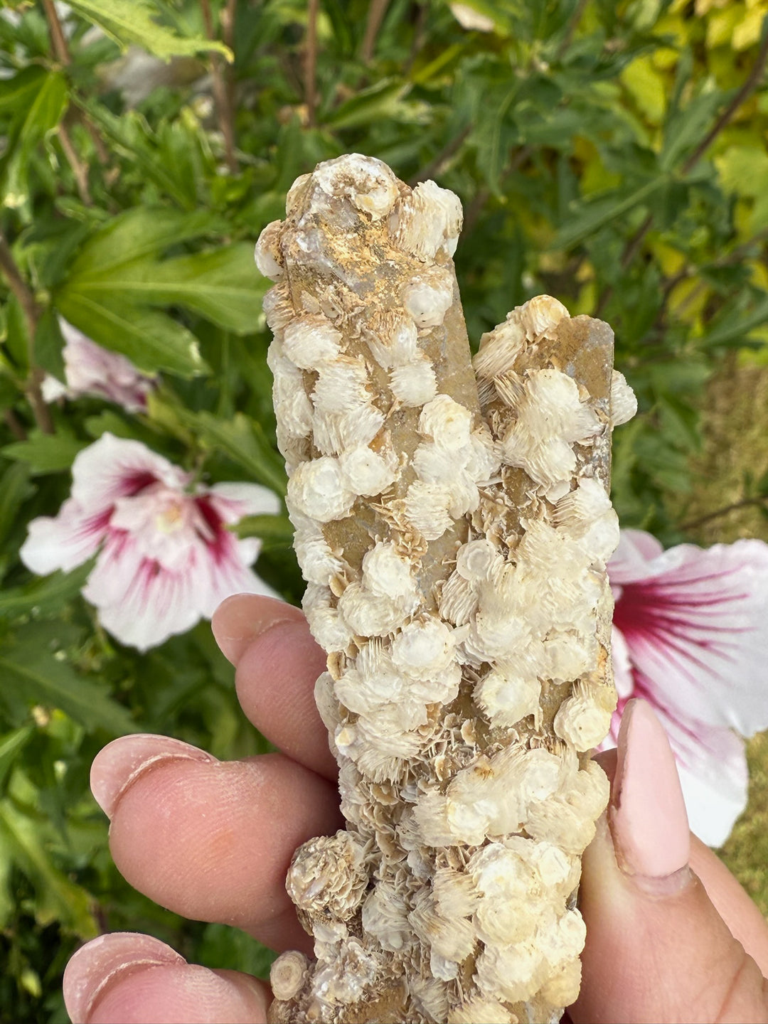 Quartz with Calcite Rosettes Specimen from Inner Mongolia