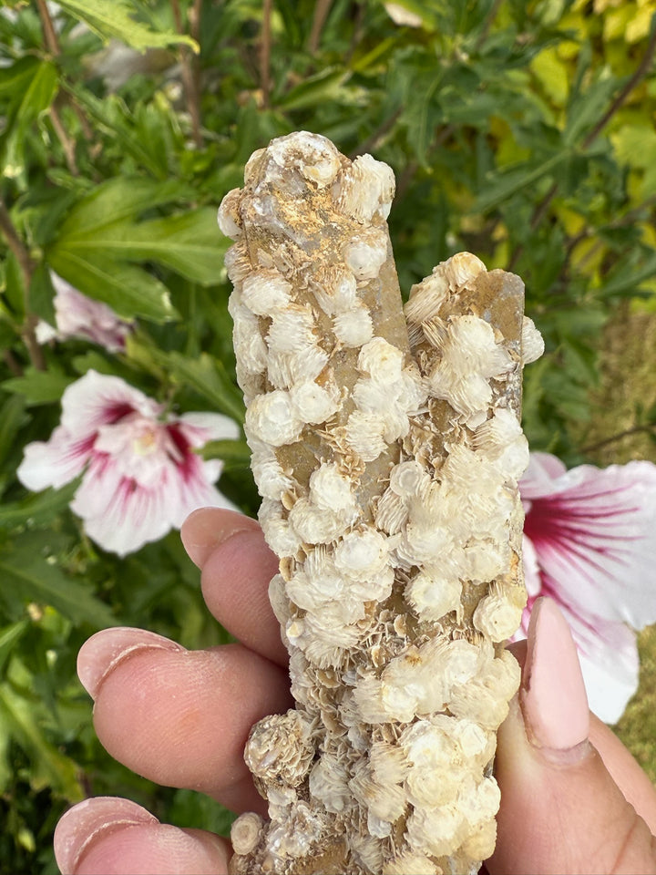 Quartz with Calcite Rosettes Specimen from Inner Mongolia
