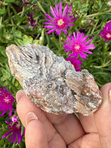 Barite and Calcite Specimen from Morocco