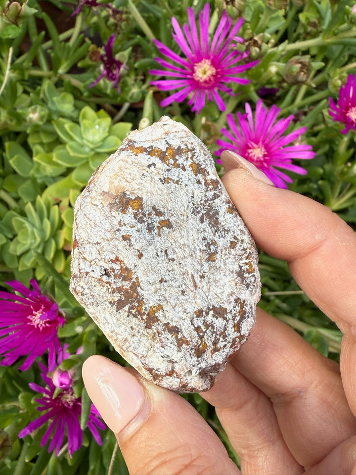 Barite and Calcite Specimen from Morocco