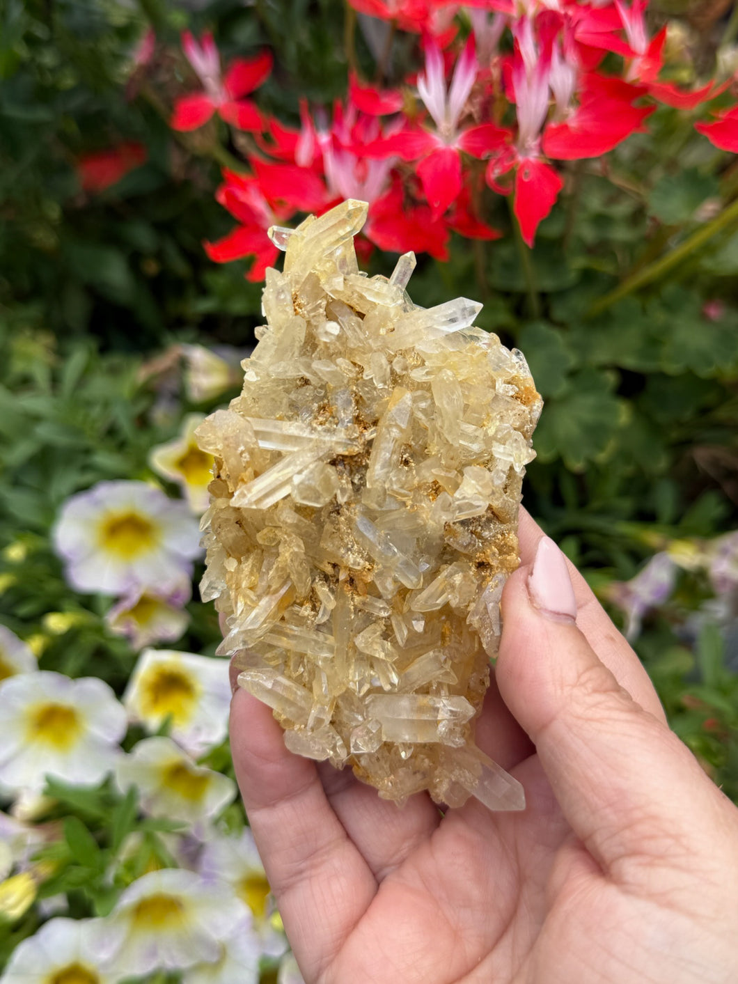 Quartz Specimen with Limonite