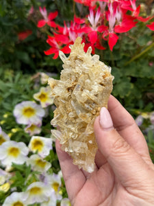 Quartz Specimen with Limonite