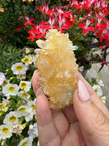 Quartz Specimen with Limonite
