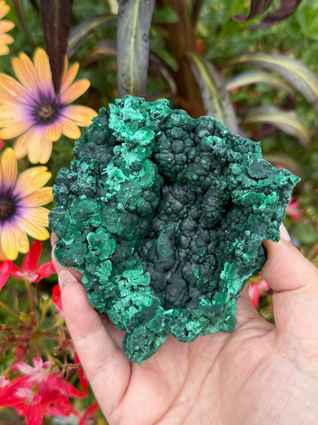Incredible Large Malachite Specimen with Stalactite