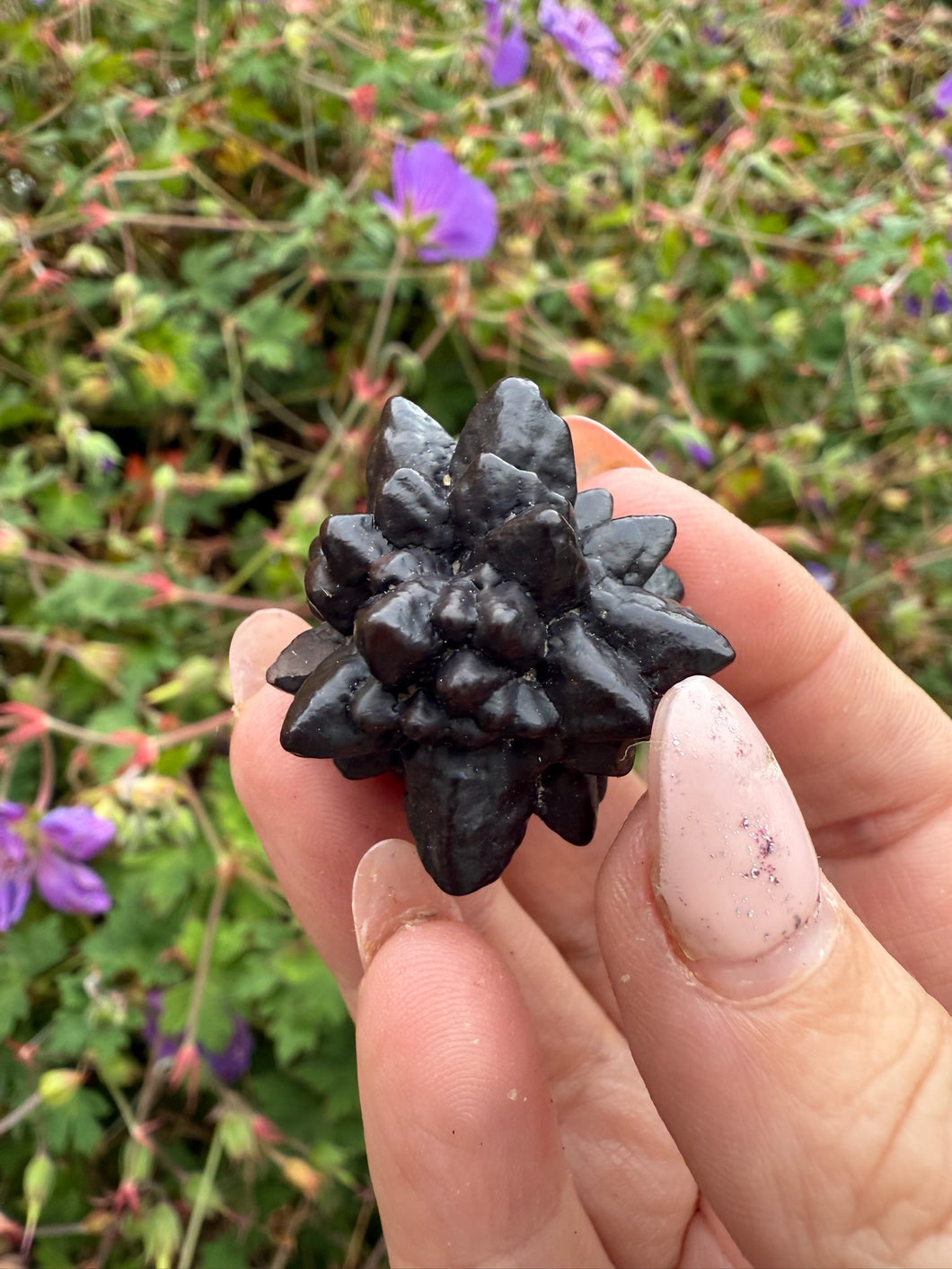 Prophecy Stone Specimen