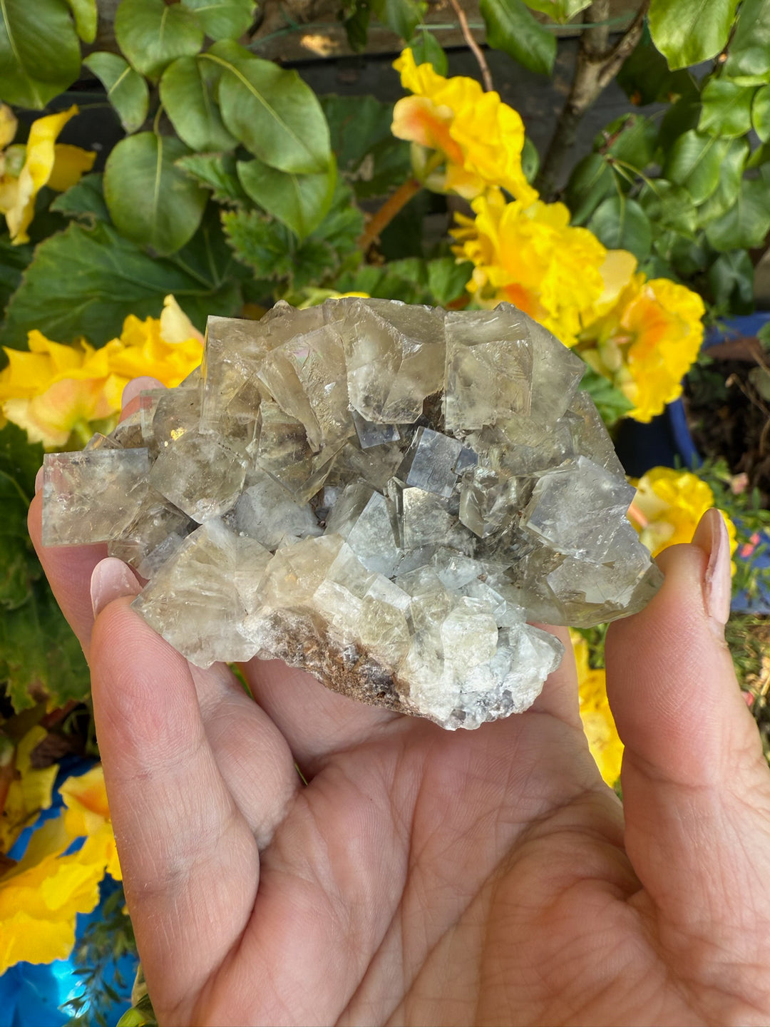 Weardale Honey Fluorite Specimen from the Bull Vein