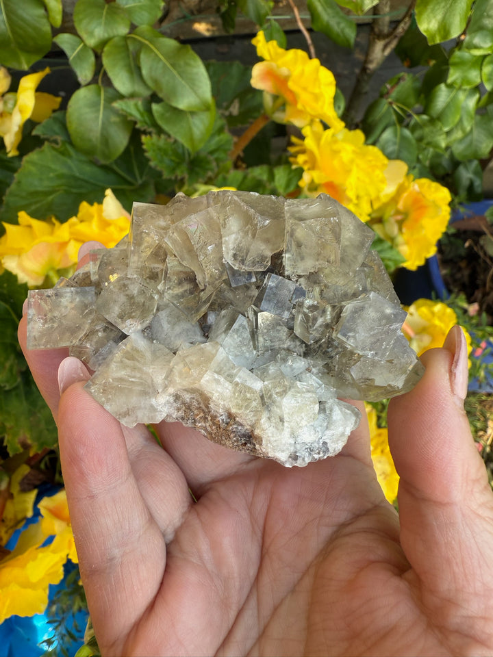 Weardale Honey Fluorite Specimen from the Bull Vein