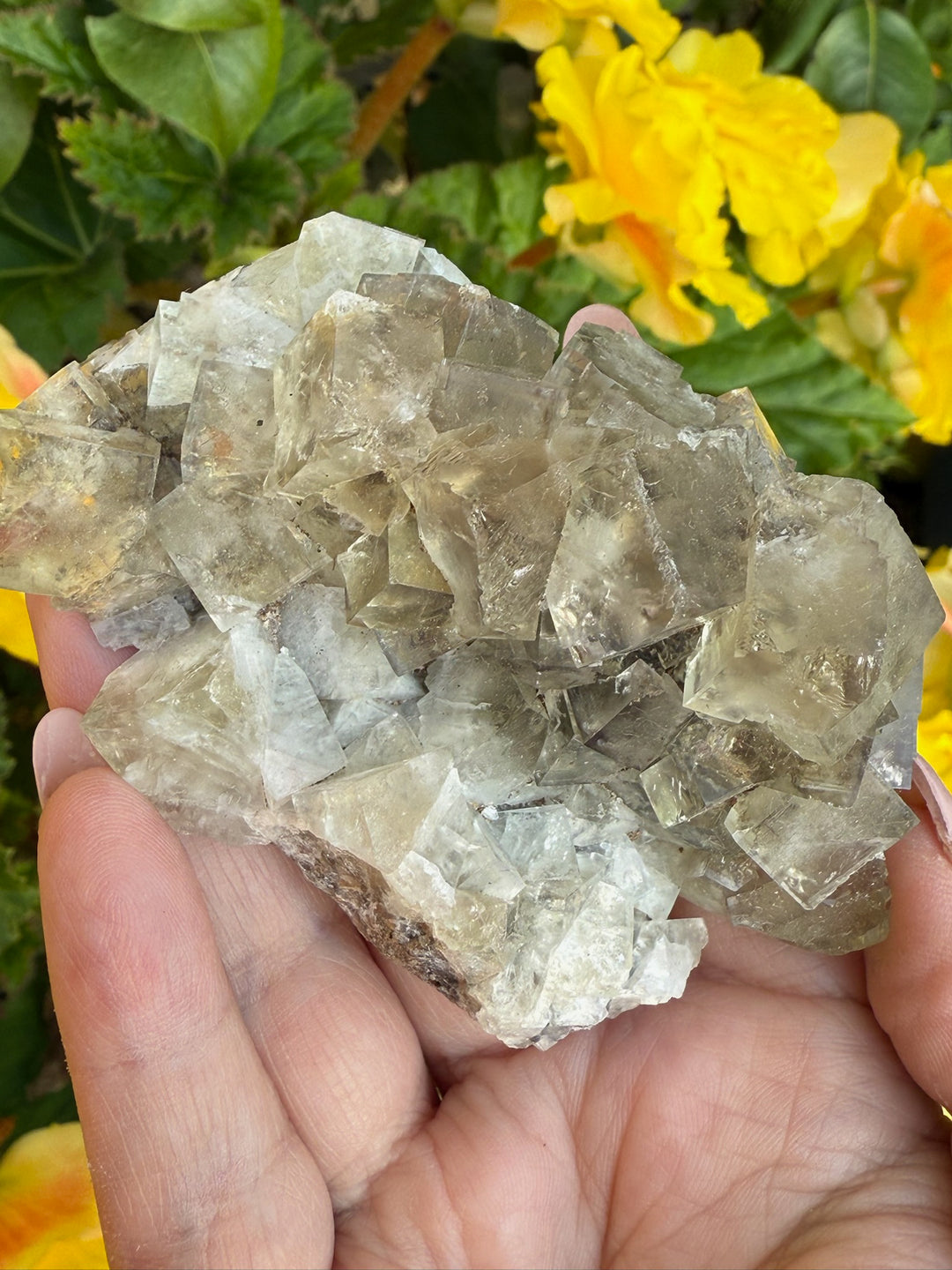 Weardale Honey Fluorite Specimen from the Bull Vein