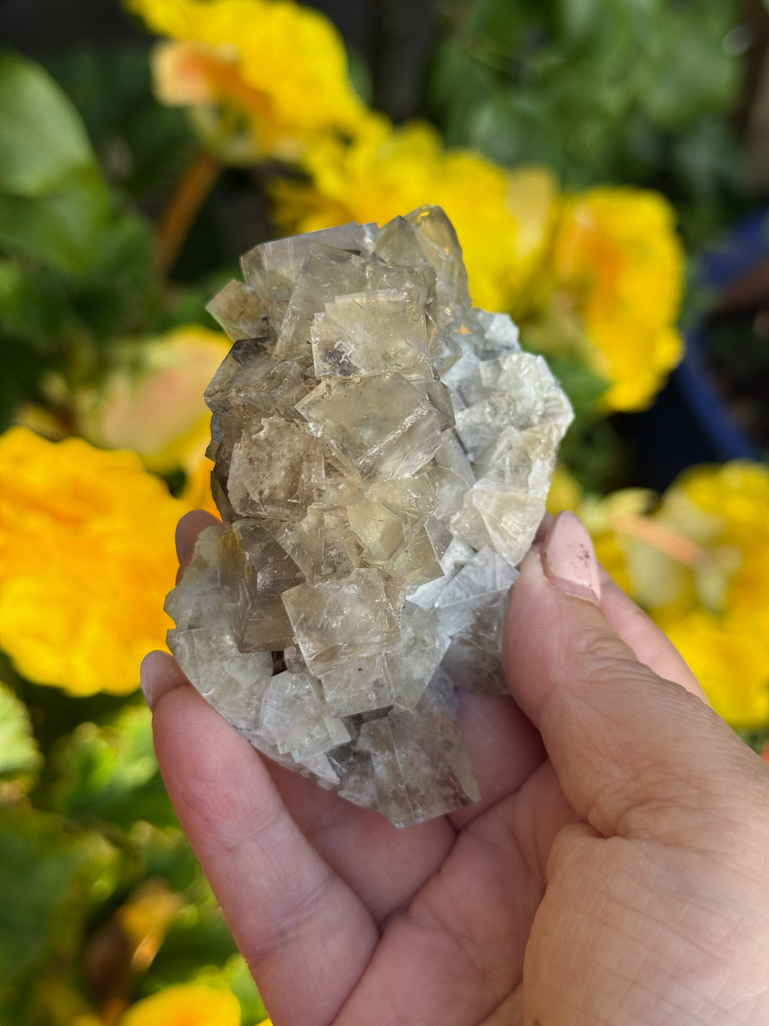 Weardale Honey Fluorite Specimen from the Bull Vein