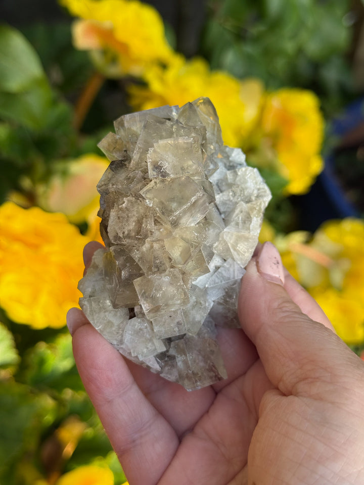 Weardale Honey Fluorite Specimen from the Bull Vein
