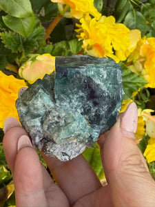 50 Year Pocket Fluorite Specimen from Weardale UK