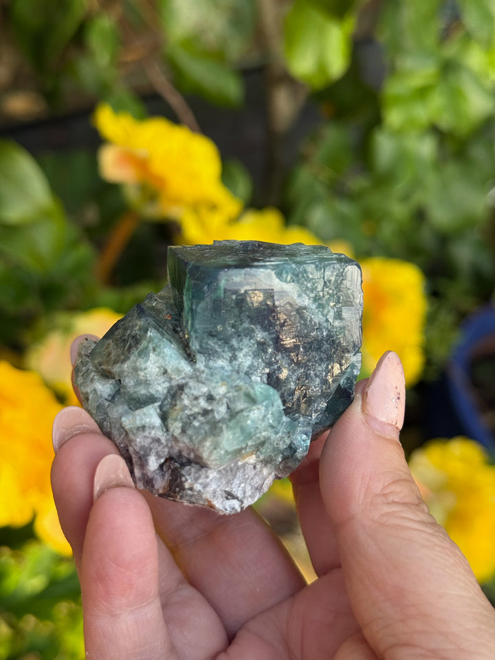 50 Year Pocket Fluorite Specimen from Weardale UK