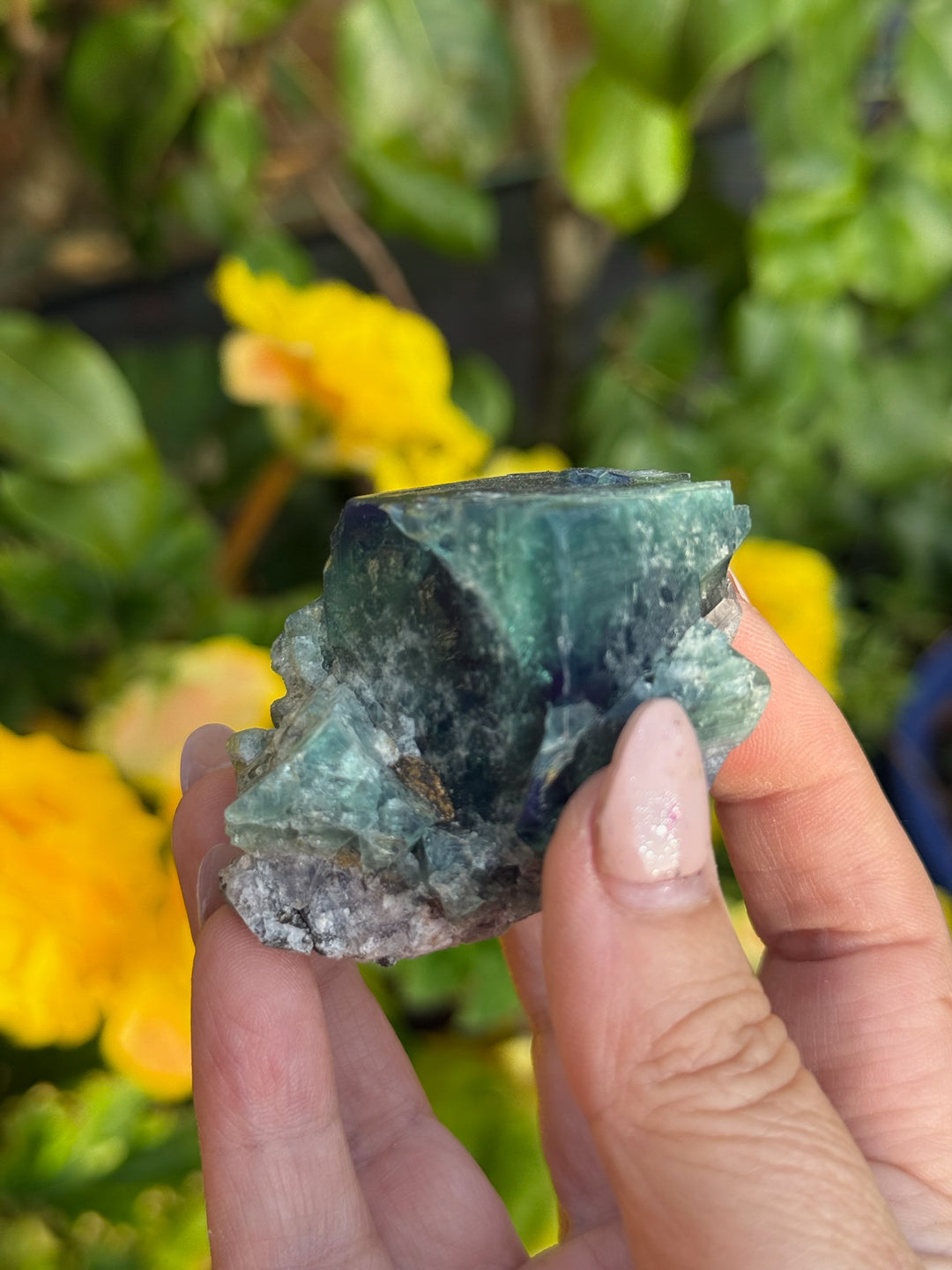 50 Year Pocket Fluorite Specimen from Weardale UK